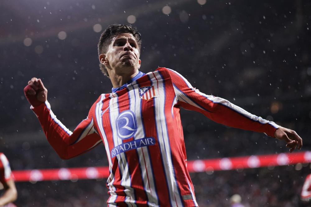 在某些细分 在某些细分